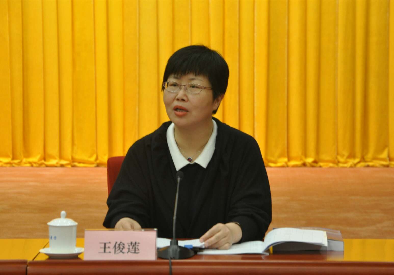 王俊莲院长开幕式致辞.jpg