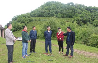 王福生院长一行调研我院精准扶贫帮扶项目实施和产业培育工作