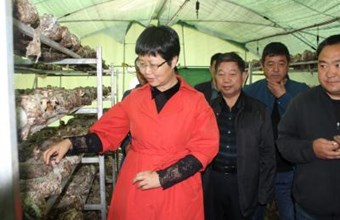 省社科院王俊莲副院长带队赴通渭县、岷县、宕昌县、礼县、西和县开展产业扶贫和村集体经济专项督查
