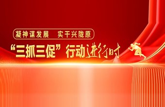 “三抓三促”行动进行时