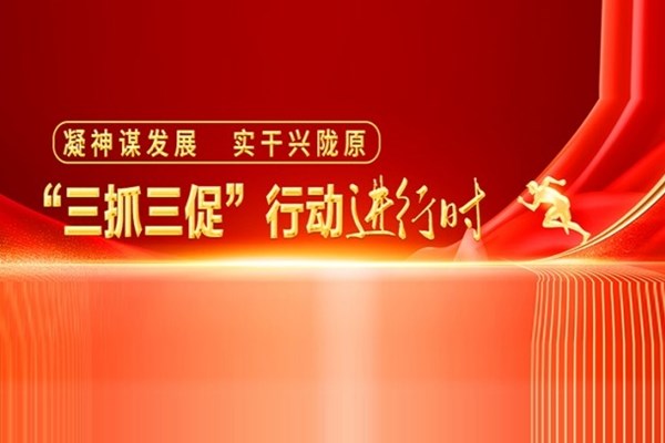 “三抓三促”行动进行时