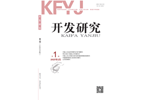 《开发研究》2025年第1期目次