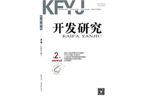 《开发研究》2025年第2期目次