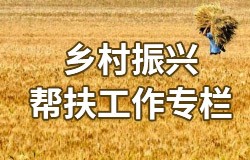 乡村振兴 帮扶工作专栏