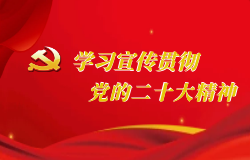 学习宣传贯彻党的二十大精神 